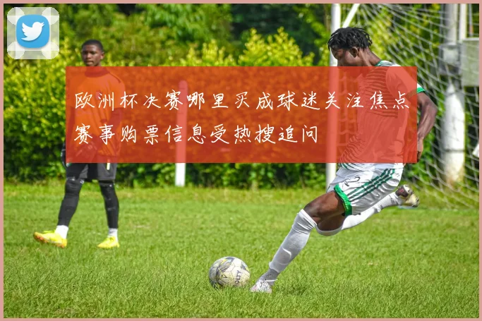 欧洲杯决赛哪里买成球迷关注焦点赛事购票信息受热搜追问