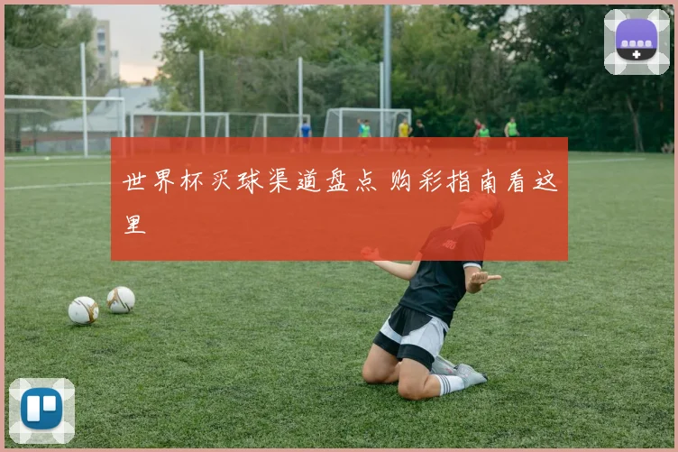 世界杯买球渠道盘点 购彩指南看这里