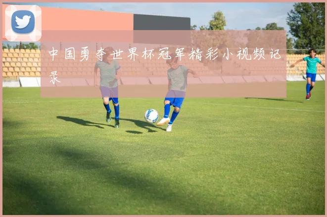 中国勇夺世界杯冠军精彩小视频记录